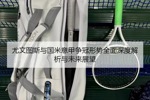 尤文图斯与国米意甲争冠形势全面深度解析与未来展望